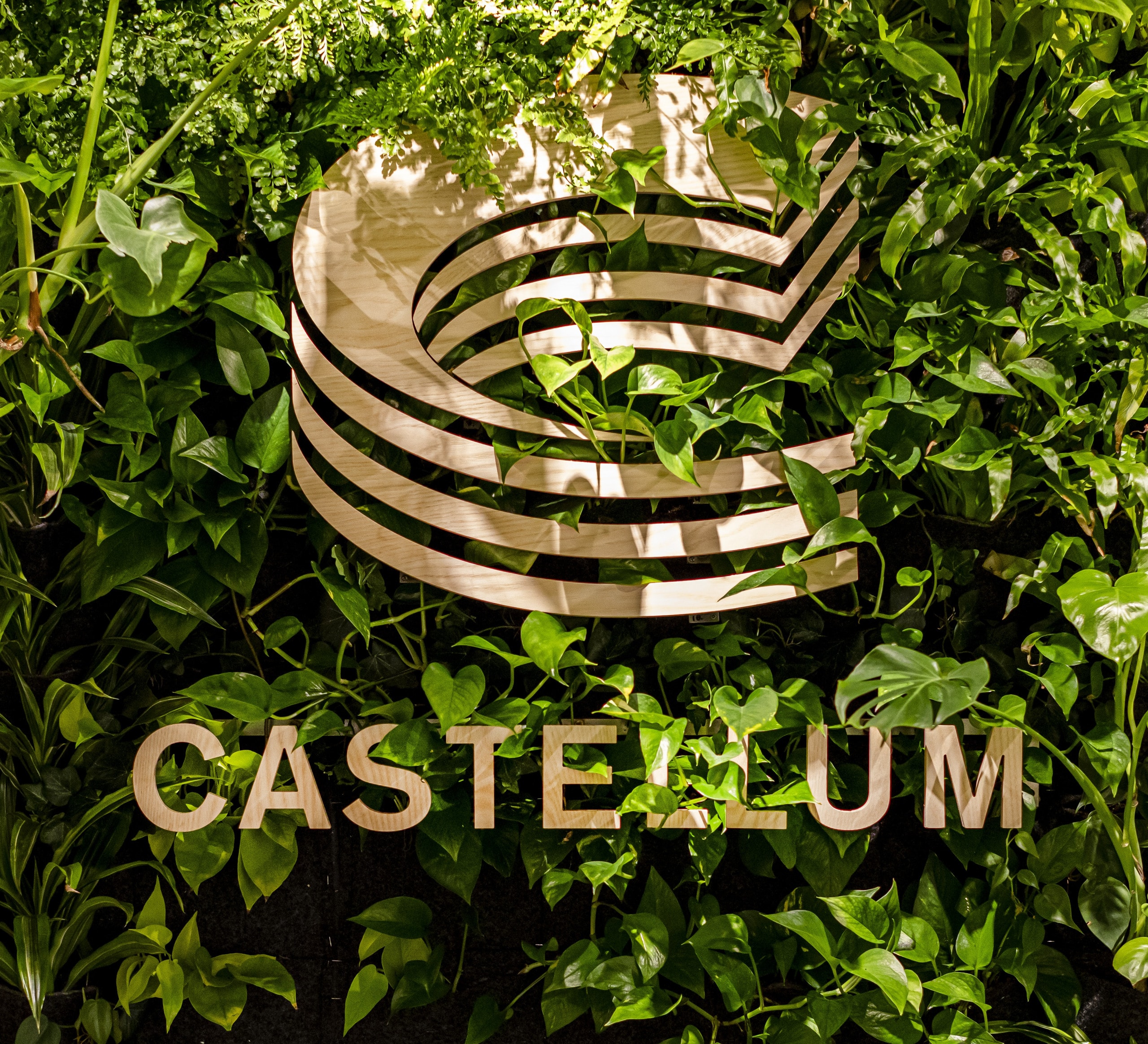 A Castelllum sign against a green wall.